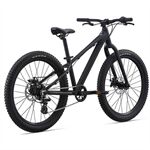 Xe đạp điện địa hình Giant STP 24 2022***